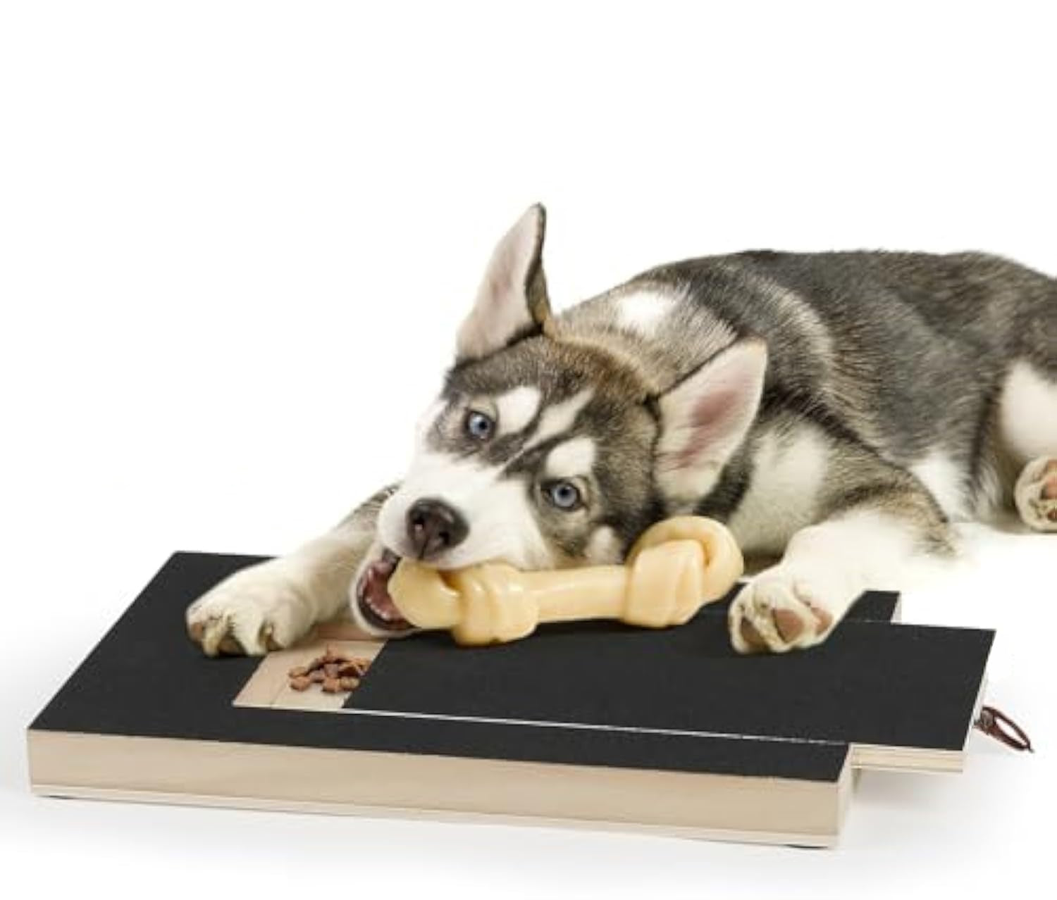 PawTrim Scratch Board™ – All-Size Edition