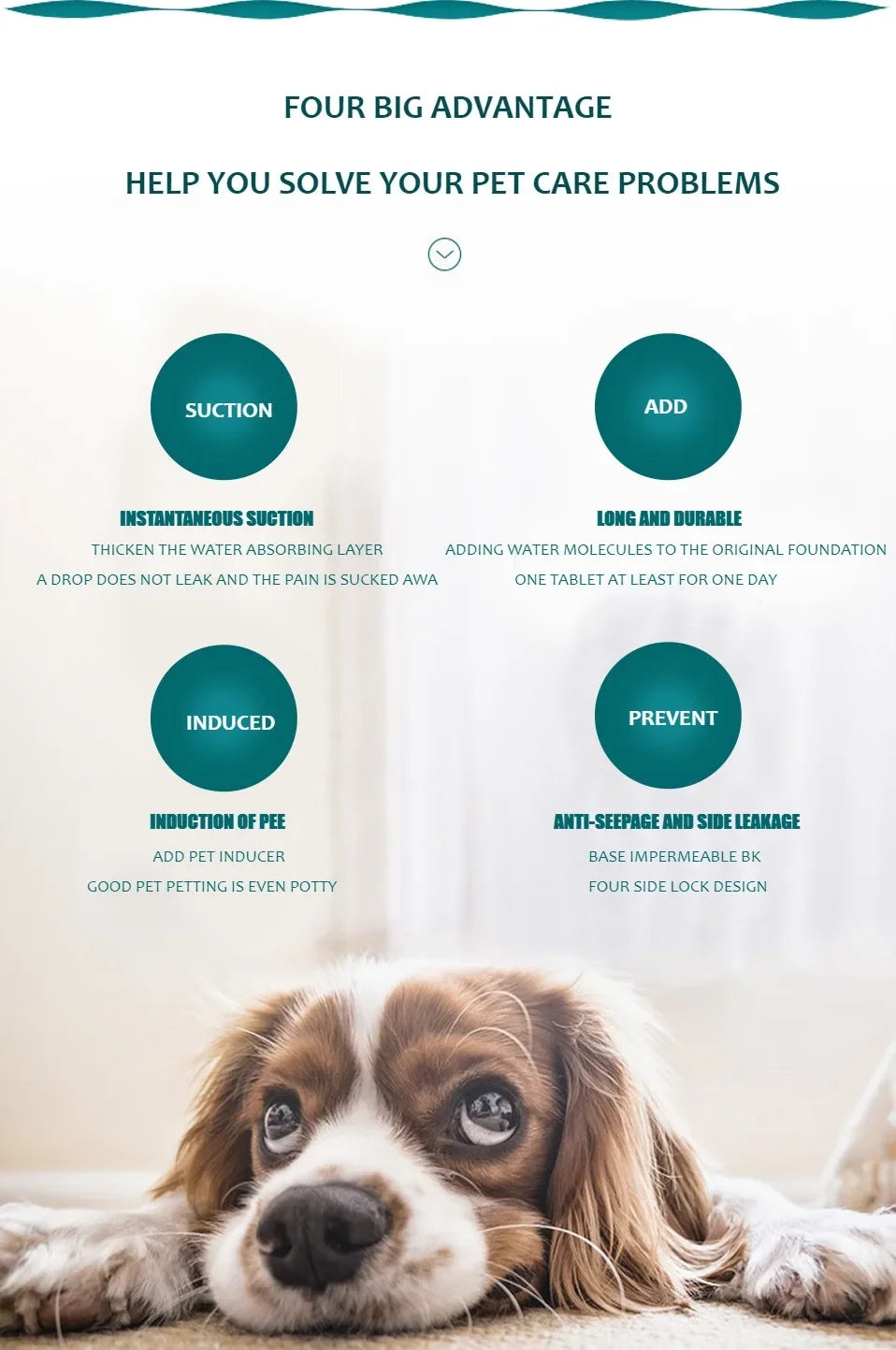 EasyClean Dog Pee Blanket