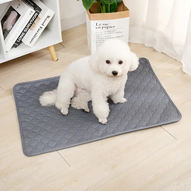 EasyClean Dog Pee Blanket